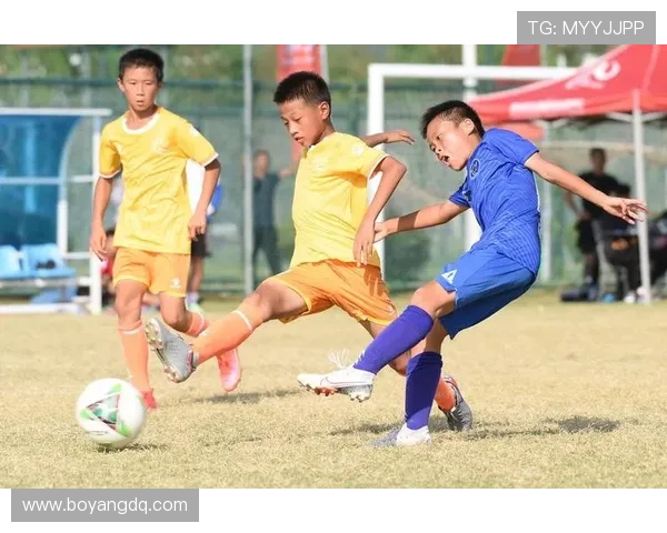 连云港足球明星的崛起与发展探秘：从青训到职业联赛的精彩历程
