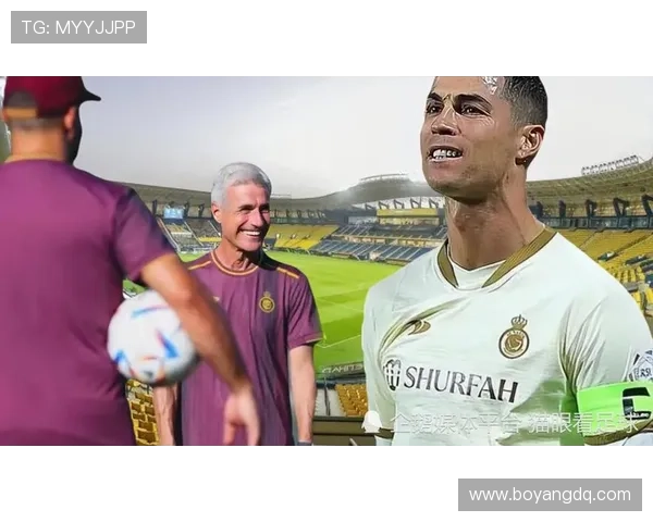 深圳乒乓球队速度之争引发热议球迷与专家各执己见探讨技术与战术